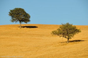 Val d'Orcia